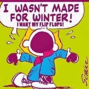 Meet your Posher, Joy